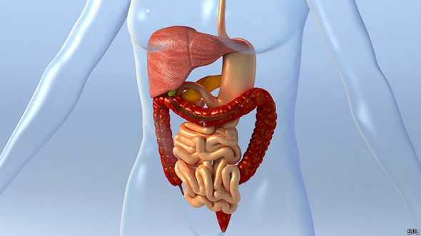 Estimular los receptores olfativos del intestino, puede ayudar a agilizar la digestión.