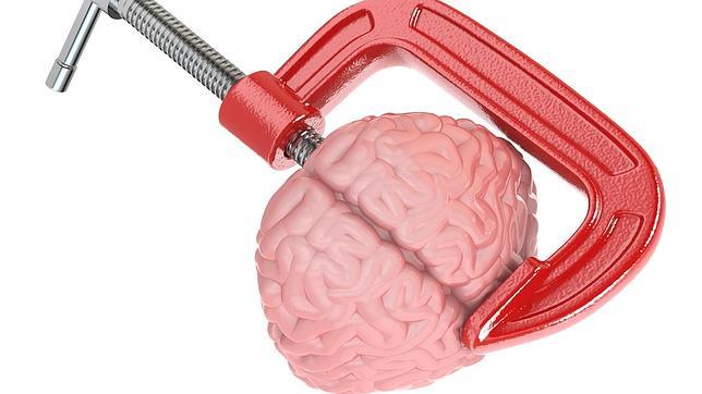 FOTOLIA Las conexiones del cerebro serían más importantes que el tamaño para determinar la inteligencia