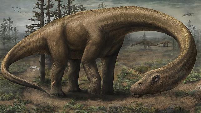 JENNIFER HALL El Dreadnoughtus schrani