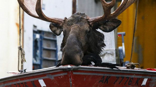 Gran parte de Alaska está despoblada.