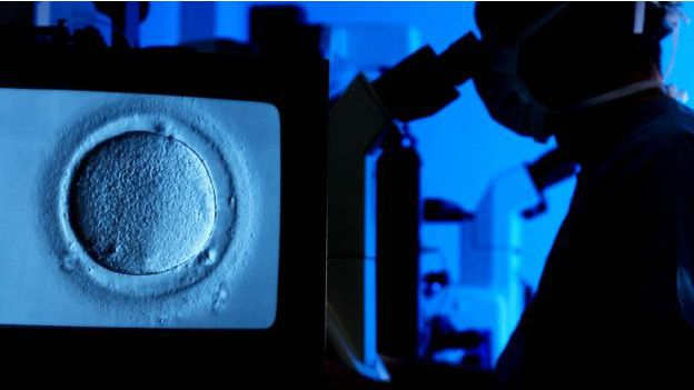 Algunos investigadores creen que un día será posible incrementar masivamente la capacidad reproductiva de la mujer. Algunos investigadores creen que un día será posible incrementar masivamente la capacidad reproductiva de la mujer.