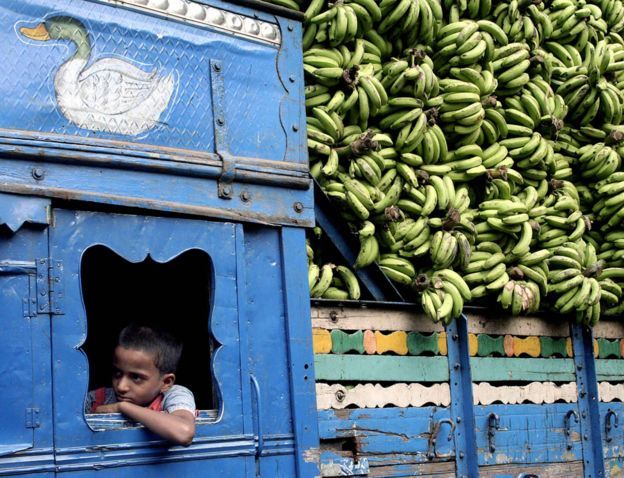 Otro factor relacionado con los bananos que podría causar cierta confusión es la radiación.