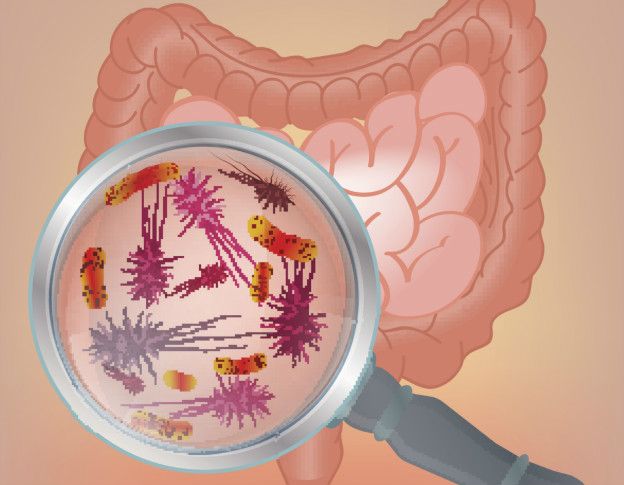 Miles de microbios viven en nuestra flora intestinal.