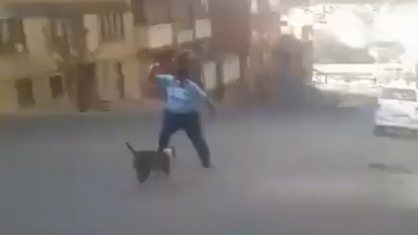 Polémico video: Un hombre se defiende de un pitbull con un machete