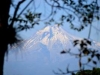 Buscó desde 1959 a sus amigos perdidos en el Pico de Orizaba