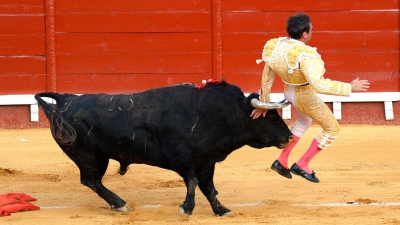 Momento en que el diestro Enrique Ponce sufre una cornada. Puerto de Santa María, España, 6 de agosto de 2020.