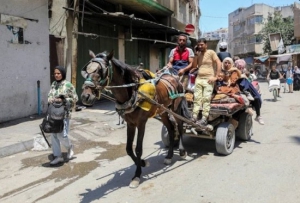 Gaza: genocidio israelí deja 59 mártires y éxodo inverso masivo