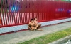 Se deslinda Universidad de Tampico de alumnos exhibidos desnudos