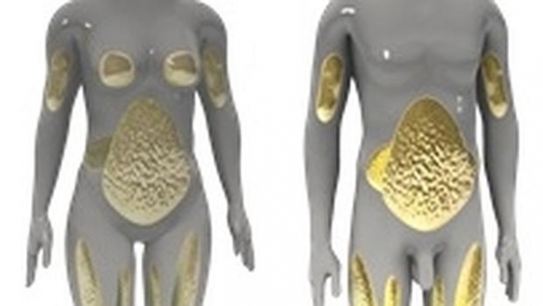 Localización de la grasa en hombres y mujeres.