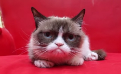 © apertura.com Revista Apertura