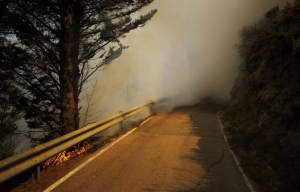 El incendio que se declaró el lunes en Bejís (Castellón) sigue activo. El tren que se había detenido viajaba el martes por la región de Valencia cuando la conductora decidió dar la vuelta debido al fuego que avanzaba desde los alrededores de la población de Bejís.