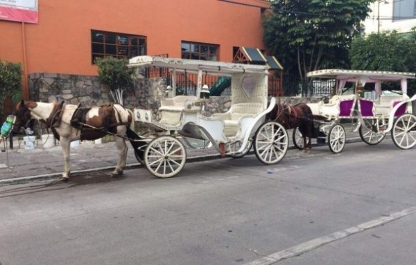 Recibe Derechos Humanos queja colectiva de calandrieros