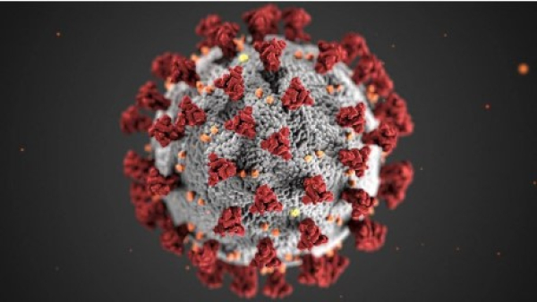 El coronavirus COVID-19 resultó ser un virus artificial