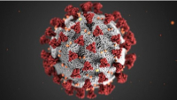El coronavirus COVID-19 resultó ser un virus artificial
