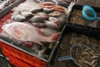 Organizaciones exigen una Norma Oficial para evitar la venta de pescado con exceso de agua en México