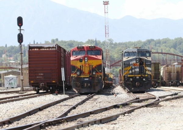 Traslado de mercancías por el Sistema Ferroviario Mexicano