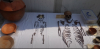 Descubren en la Ciudad de México 4 entierros infantiles prehispánicos dentro de un complejo habitacional mexica