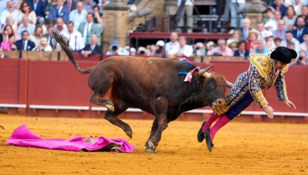 José Antonio Morante de la Puebla, herido muy grave en el albero de Sevilla