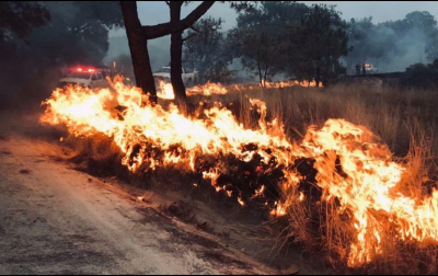 Tras el siniestro se anuncia el cierre de los ingresos al bosque por la zona de Mariano Otero hasta nuevo aviso.