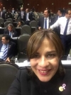 a diputada federal panista Teresa Lizárraga Figueroa.