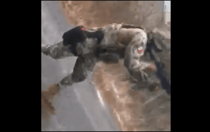 En las grabaciones se escucha la mezcla de los estruendos de las armas de alto poder con algunos gritos de los oficiales.