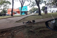 La foto que tomó Patricia Fernández el 13 de diciembre.e tomó Patricia Fernández el 13 de diciembre.