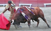 Corridas de toros volverán a Plaza México en CDMX, determina la Corte