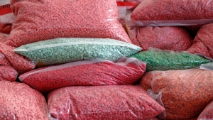 Video: El cártel de Sinaloa deja por primera vez que periodistas filmen sus laboratorios