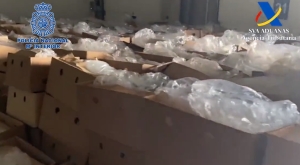 Oculto en cajas de platanos: España incauta el alijo más grande de cocaína en su historia