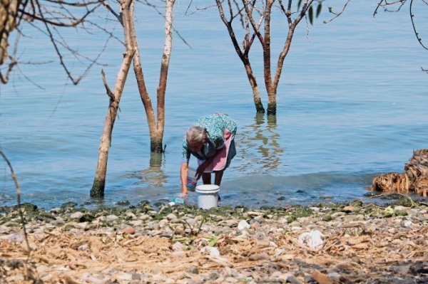 Además del agua, el ambiente contaminado con pesticidas y otros químicos provocan enfermedades renales. 