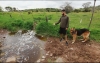 Fernando García, junto a su mascota, muestra la contaminación en el arroyo El Popul. La autoridad invita a los afectados a presentar denuncias para poder actuar.