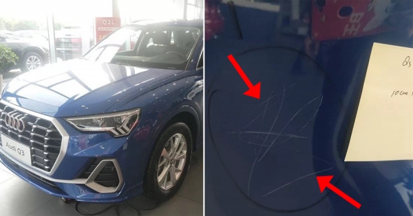 Una niña raya con una piedra diez Audi en una concesionaria y su padre es demandado por decenas de miles de dólares