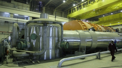 Reactor de la central nuclear de Bushehr, en el sur de Irán