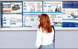 La situación salarial es favorecedora para los hombres, puesto que mientras 26.5% de ellos alcanza un ingreso en el rango de 8 mil uno a 15 mil pesos, el porcentaje desciende a 18.2% en el caso de las mujeres.