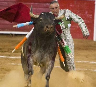 El torero mexicano El Pana queda tetrapléjico