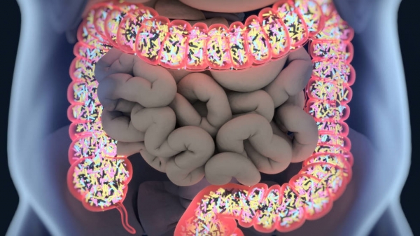 Edulcorantes en la dieta, una posible trampa para tu flora intestinal