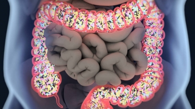 Edulcorantes en la dieta, una posible trampa para tu flora intestinal