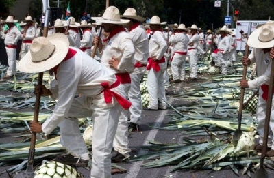 Concentración de jimadores en una glorieta de Guadalajara, que impuso nuevo Record Guinness