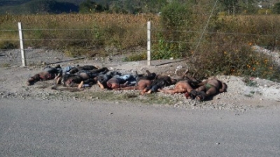 Abandonan diez cadáveres en Chilapa, Guerrero