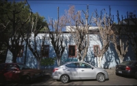 DAÑO. La Dirección de Medio Ambiente de Guadalajara confirmó que ocho árboles ficus alzados en el cruce de Justo Sierra y José Clemente Orozco, en la Colonia Ladrón de Guevara, fueron secados intencionalmente luego de que les inyectaron aceite. Vecinos señalaron como responsables del ecocidio a los propietarios de un bar próximo a reinaugurarse. El caso fue turnado a la Dirección Jurídica del municipio para que se presente una denuncia ante la Fiscalía del Estado. También se infraccionó al centro nocturno