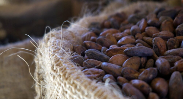 Costa de Marfil y Ghana acusan a Hershey de intentar evitar el pago de un impuesto por el cacao