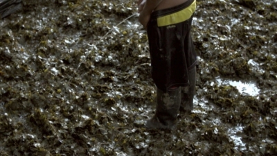 Imagen perteneciente a la serie documental de seis capítulos &#039;Amazonas clandestino&#039;. En ella se puede ver cómo uno de los químicos orina encima de las hojas de coca «para darle sabor» al producto, según admite él mismo.