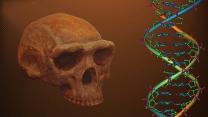 ¿Cuándo nació el 'padre' de todos los humanos?