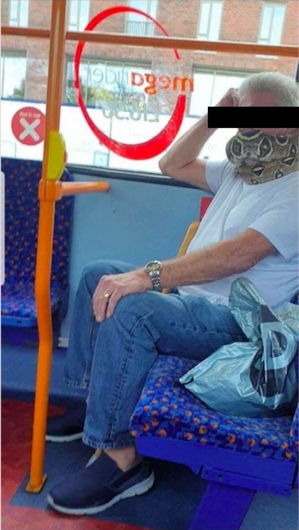 Hombre en Inglaterra usa serpiente como mascarilla y viaja con la víbora en autobús público