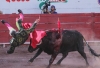  La tragedia vino apenas iniciando la lidia del tercero de la tarde, Rodolfo Rodríguez, el astado &quot;Pan Francés&quot; de 480 kilos, al ir en pleno trote.