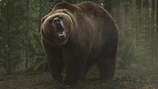 Fotograma de la película «Grizzly»