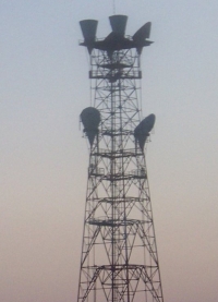 La estación de radio del "juicio final" UVB-76 transmitió 24 mensajes misteriosos