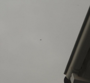 Drones sobrevuelan la embajada de México en Bolivia.