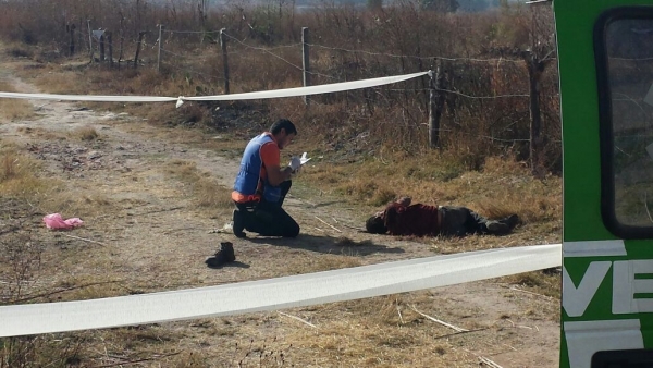 Canes sí causaron la muerte de hombre atacado cerca del Cerro del Gato