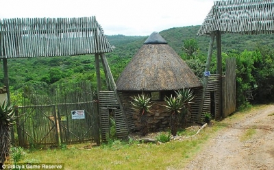 Unos leones devoran a tres cazadores furtivos que querían mutilar rinocerontes en Sudáfrica